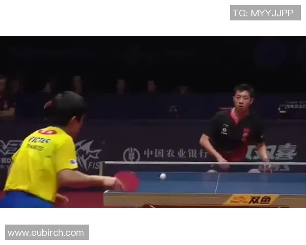 许昕与靖昆对决精彩纷呈谁将成为乒乓球赛场的王者之争 许昕与靖昆对决精彩纷呈谁将成为乒乓球赛场的王者之争