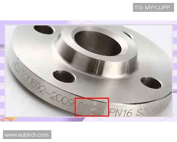 FS法兰与卡尔斯的全面对比分析及市场前景探讨 FS法兰与卡尔斯的全面对比分析及市场前景探讨