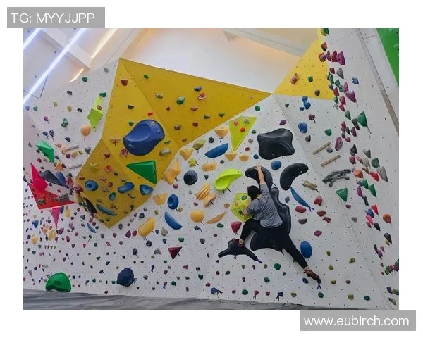 成都攀岩队个人能力分析与提升策略探讨MBA