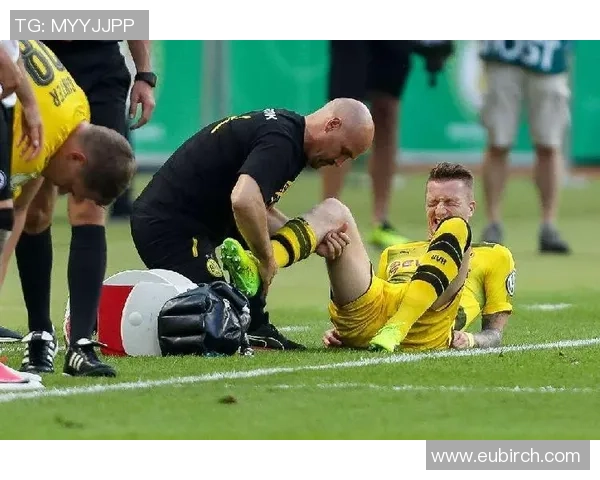 德国与法国足球对决前的伤停情况分析与影响探讨 德国与法国足球对决前的伤停情况分析与影响探讨