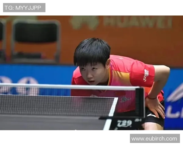 赵军的乒乓球人生深度对话：从小球场到世界舞台的奋斗与荣耀