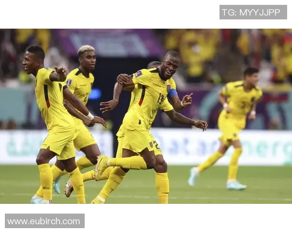 阿根廷与厄瓜多尔对决分析：战术布局与球员表现全解析