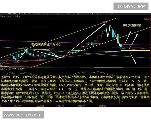 上海篮球队进攻策略分析与得失评估探讨